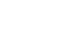 Festival logo