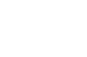 Festival logo