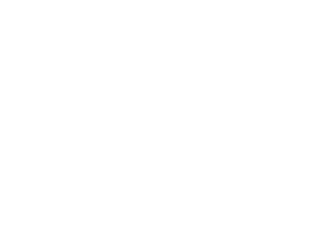 Festival logo